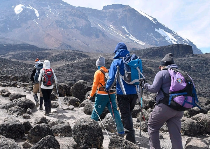 Lemosho Route — 8 Days